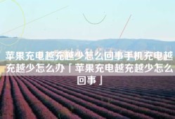 苹果充电越充越少怎么回事手机充电越充越少怎么办「苹果充电越充越少怎么回事」