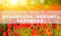 男生适合用什么手机（男生适合用什么手机尾号数字能量）