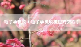 锤子手机刷（锤子手机刷机官方教程）