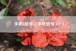 手机h信号（手机信号 h+）