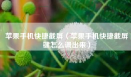 苹果手机快捷截屏（苹果手机快捷截屏键怎么调出来）