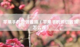 苹果手机微信置顶（苹果手机微信置顶怎么弄）