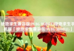 绝地求生兼容版(PUBG MOBILE)绝地求生手机版「绝地求生兼容版(PUBG MOBILE)」