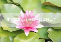 手机福利app（推荐一款福利app）