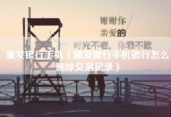 浦发银行手机（浦发银行手机银行怎么删除交易记录）