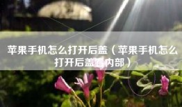 苹果手机怎么打开后盖（苹果手机怎么打开后盖看内部）