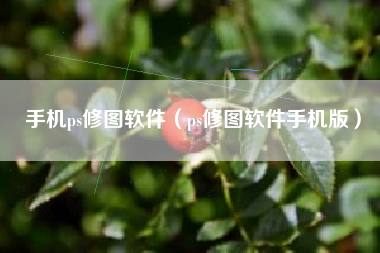 手机ps修图软件（ps修图软件手机版）