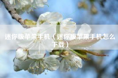 迷你版苹果手机（迷你版苹果手机怎么下载）