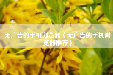 无广告的手机浏览器（无广告的手机浏览器推荐）