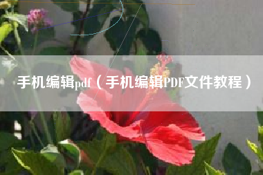 手机编辑pdf（手机编辑PDF文件教程）