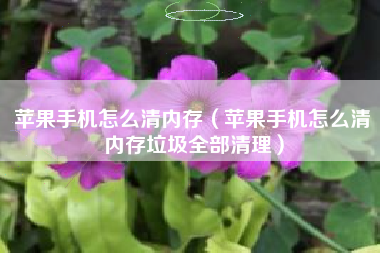 苹果手机怎么清内存（苹果手机怎么清内存垃圾全部清理）