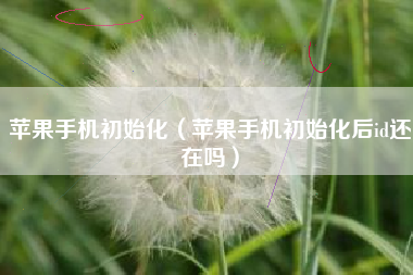 苹果手机初始化（苹果手机初始化后id还在吗）