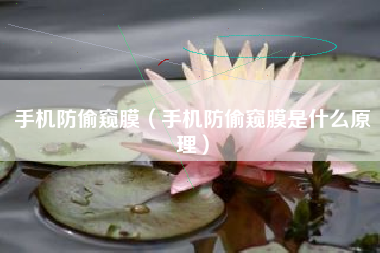 手机防偷窥膜（手机防偷窥膜是什么原理）