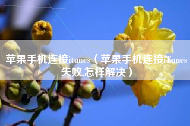 苹果手机连接itunes（苹果手机连接iTunes失败,怎样解决）