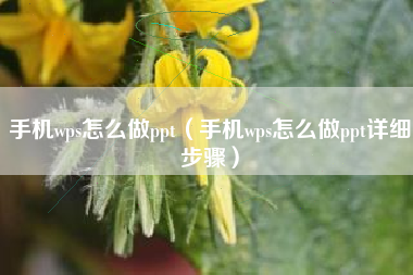 手机wps怎么做ppt（手机wps怎么做ppt详细步骤）